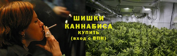 2c-b Новозыбков