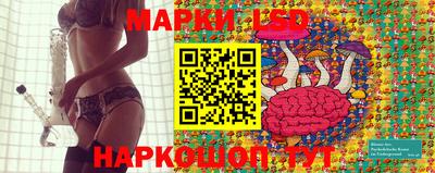 СК Краснодар