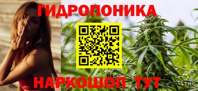 СК Краснодар