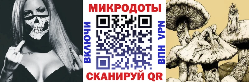 где продают   Сочи  Псилоцибиновые грибы MAGIC MUSHROOMS 