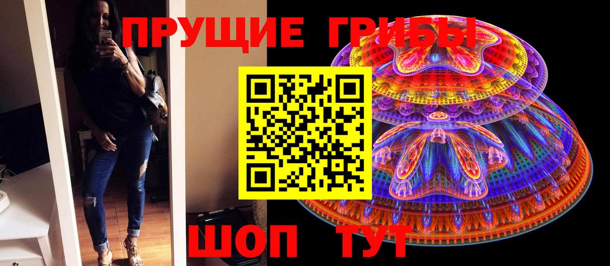Псилоцибиновые грибы мицелий Сочи
