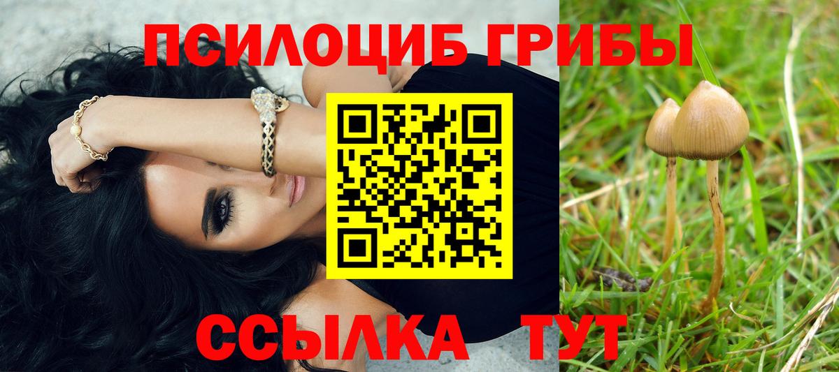МЕФ Сочи