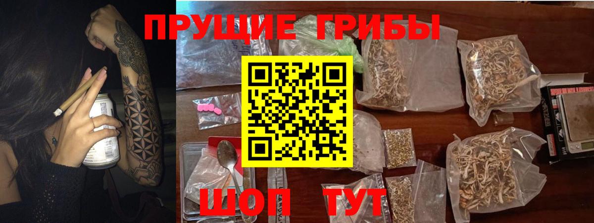 Псилоцибиновые грибы MAGIC MUSHROOMS Сочи