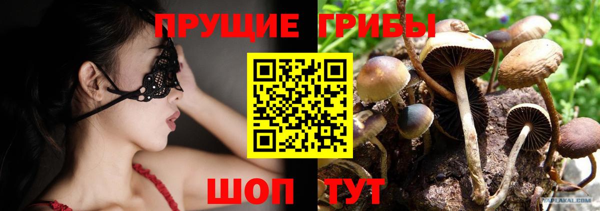 Галлюциногенные грибы MAGIC MUSHROOMS  Вход с VPN  Сочи 